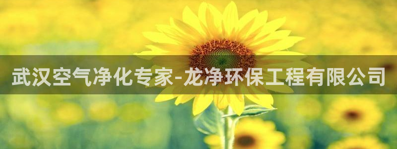 彩名堂免费计划亮点：武汉空气净化专家