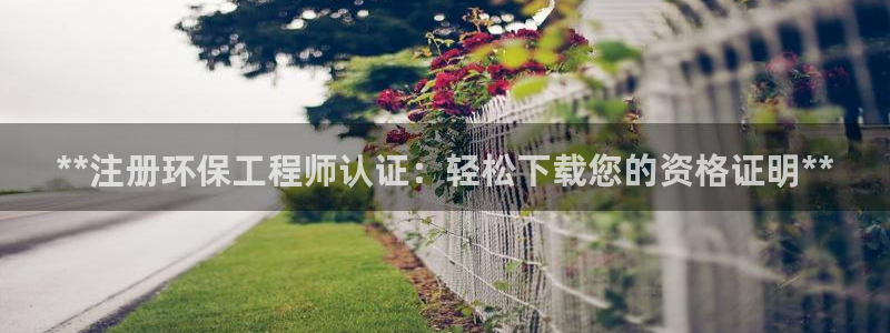 彩名堂好用还是千里马好用：**注册环