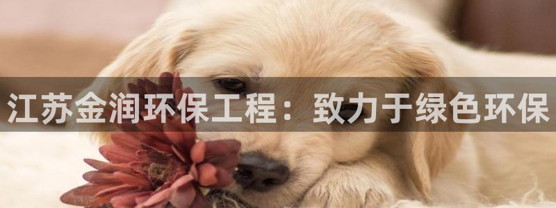 彩名堂人工计划怎么找不到下载了?：江