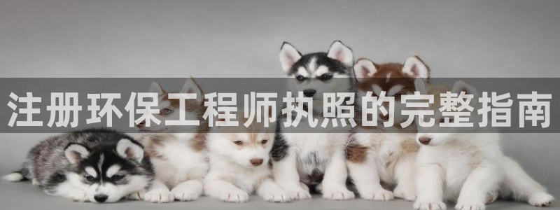 彩名堂使用方法和用量：注册环保工程师执照的完整指南