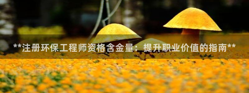 彩名堂的拼音：**注册环保工程师资格含金量：提升职业价值的指南**