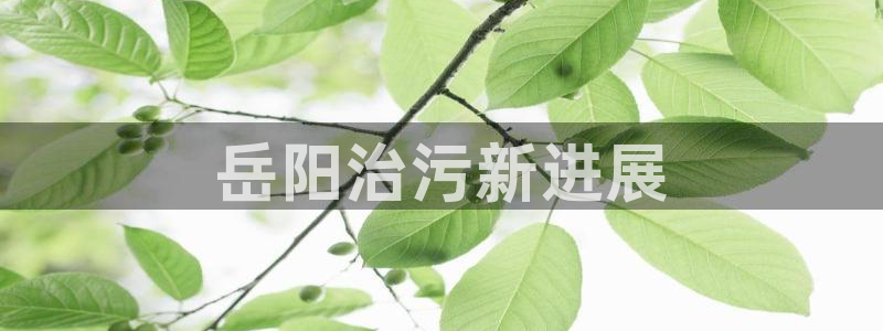 彩名堂人工计划客户端官网：岳阳治污新