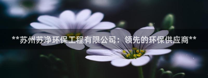 彩名堂01计划：**苏州苏净环保工程