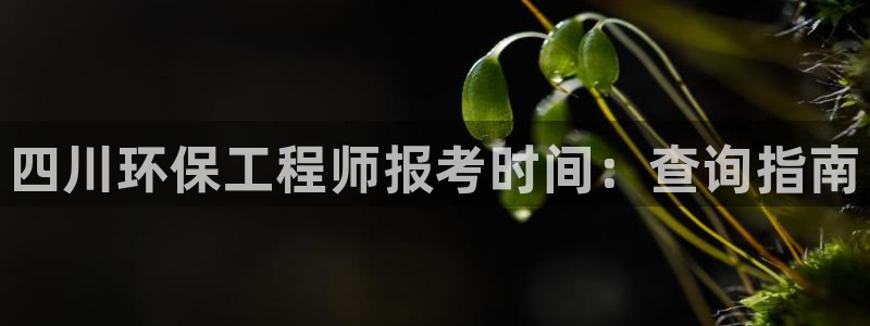 彩名堂免费计划使用方法：四川环保工程