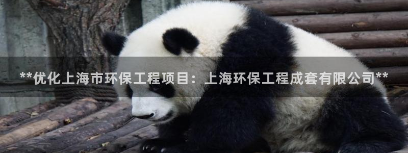 彩名堂改成什么名字了：**优化上海市