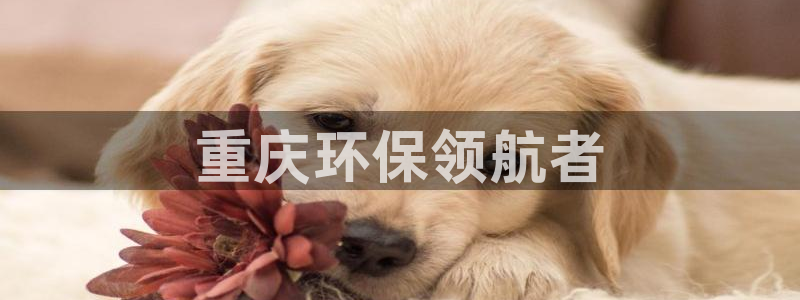彩名堂的拼音：重庆环保领航者