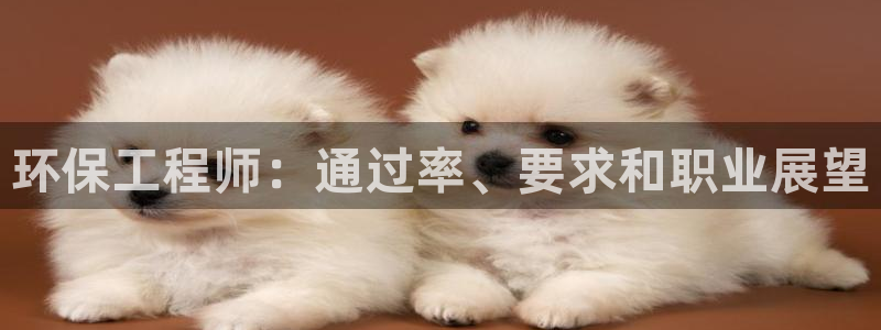 彩名堂怎么买准确率高一点：环保工程师