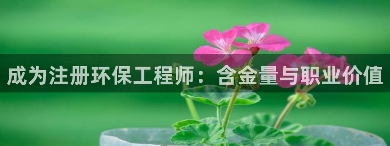 彩名堂计划怎么出的：成为注册环保工程