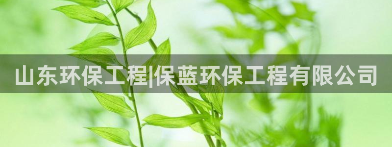 彩名堂不能用了吗：山东环保工程|保蓝
