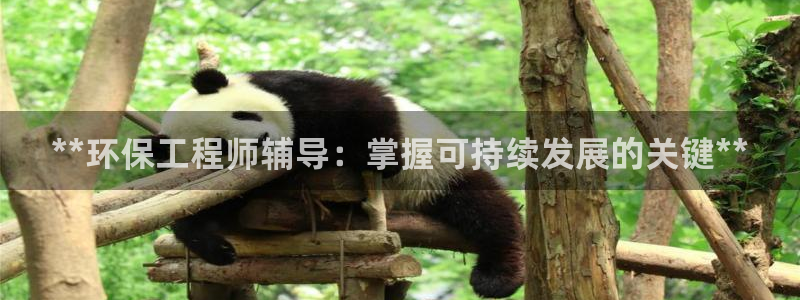 彩名堂app2.05版本：**环保工程师辅导：掌握可持续发展的关键**