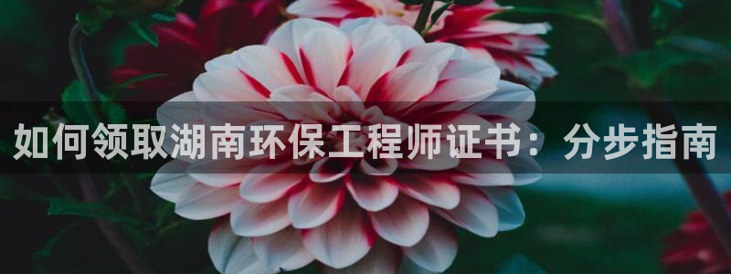 彩名堂app计划官方网站：如何领取湖