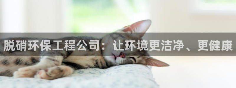 彩名堂预测：脱硝环保工程公司：让环境
