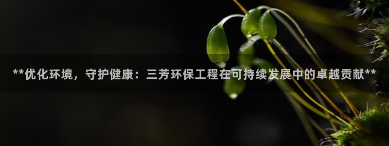 彩名堂5.0版计划怎么用不了：**优