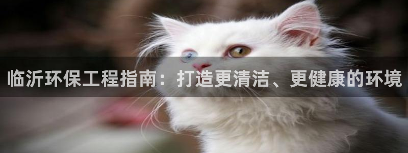彩名堂旧版本：临沂环保工程指南：打造