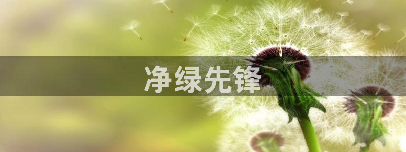 彩名堂计划怎么买胜率高：净绿先锋