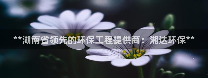 彩名堂免费计划5.0使用方法是什么：