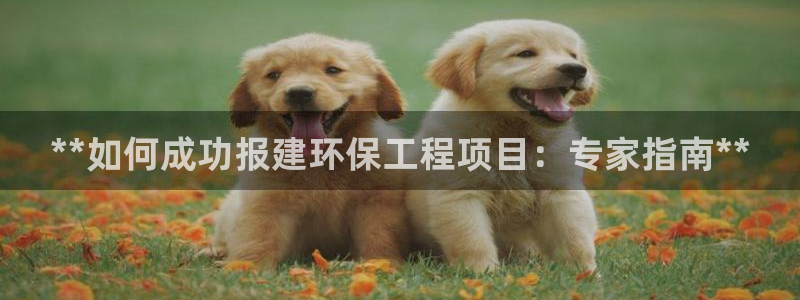 彩名堂计划和01计划怎么很稳：**如