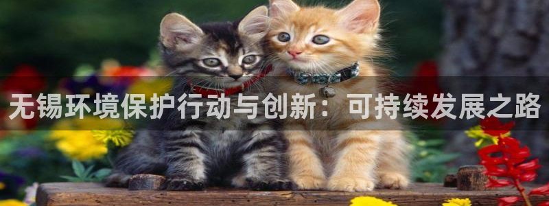 彩名堂4.3：无锡环境保护行动与创新：可持续发展之路