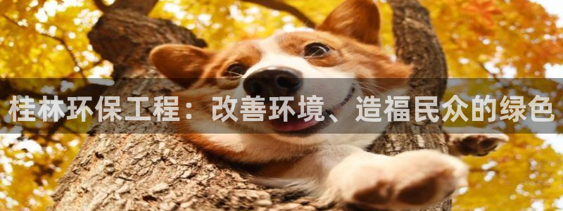 下载彩名堂预测计划软件安全吗：桂林环