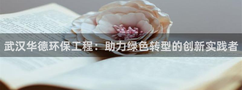 彩名堂App下载：武汉华德环保工程：