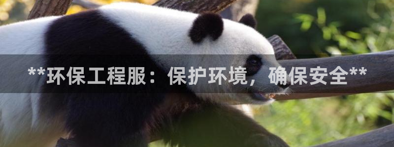 彩名堂5.0：**环保工程服：保护环