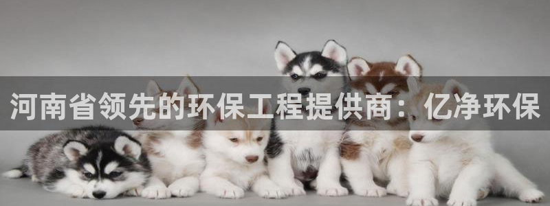 彩名堂移动客户端怎么下载：河南省领先