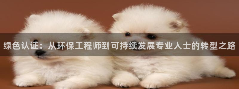 彩名堂使用方法：绿色认证：从环保工程