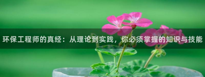 彩名堂移动客户端官网：环保工程师的真经：从理论到实践，你必须掌握的知识与技能