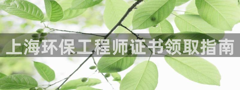 彩名堂客户端加拿大：上海环保工程师证