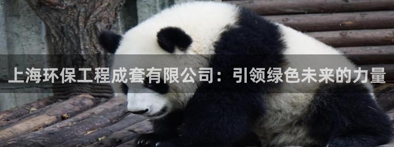 彩名堂使用方法和用量：上海环保工程成