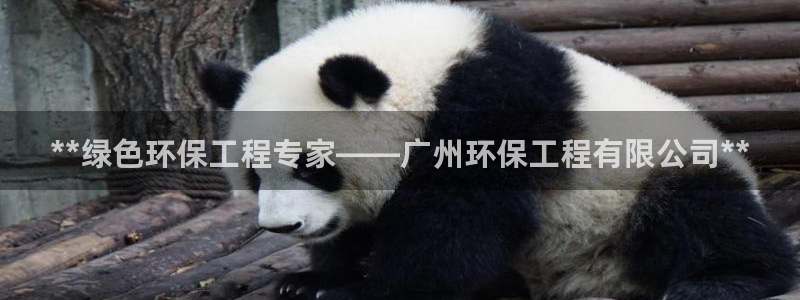彩名堂为啥又不能用了：**绿色环保工程专家——广州环保工程有