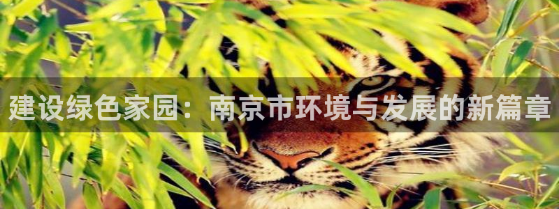彩名堂官网谁有：建设绿色家园：南京市环境与发展的新篇章