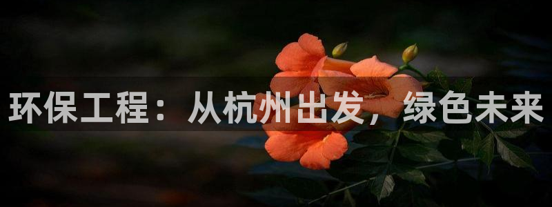 彩名堂怎么用不输：环保工程：从杭州出