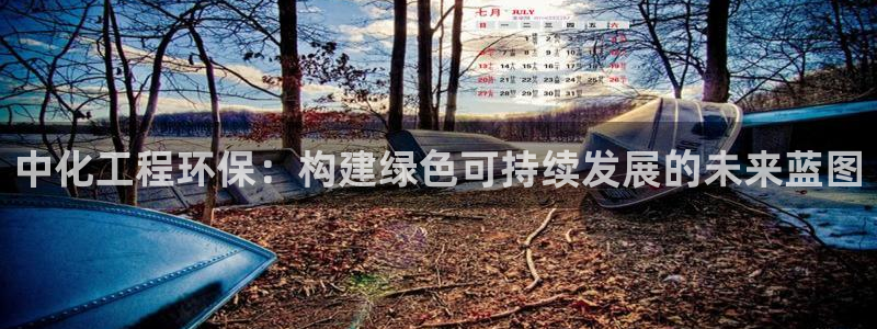 彩名堂是什么：中化工程环保：构建绿色可持续发展的未来蓝图