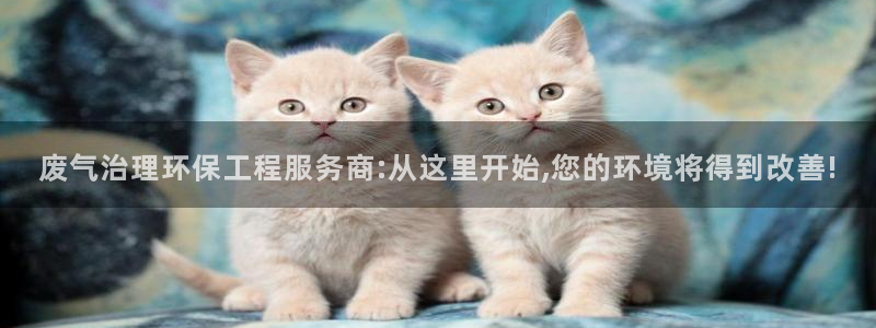 彩名堂安卓客户端官网：废气治理环保工程服务商:从这里开始,您