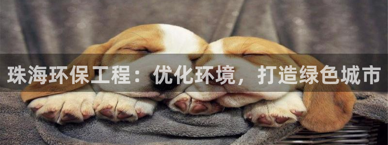 彩名堂苹果客户端：珠海环保工程：优化
