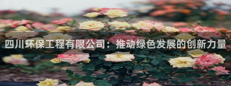 彩名堂客服电话号码：四川环保工程有限公司：推动绿色发展的创新