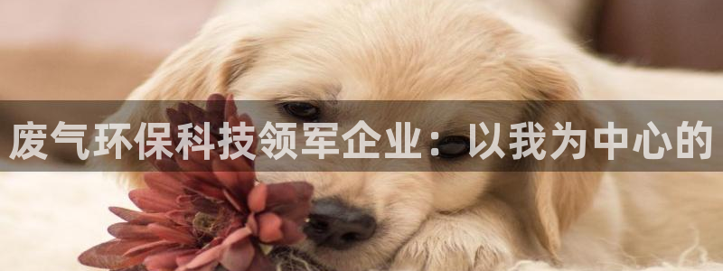 彩名堂免费计划5.0使用方法是什么：废气环保科技领军企业：以