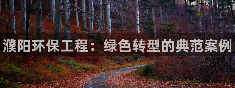 下载彩名堂预测计划软件安全吗：濮阳环保工程：绿色转型的典范案