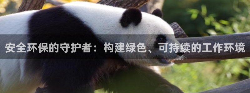 彩名堂预测软件：安全环保的守护者：构建绿色、可持续的工作环境
