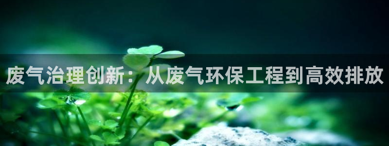 彩名堂免费计划官网5 0：废气治理创