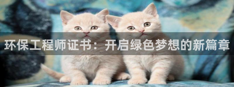 彩名堂客户端官网：环保工程师证书：开