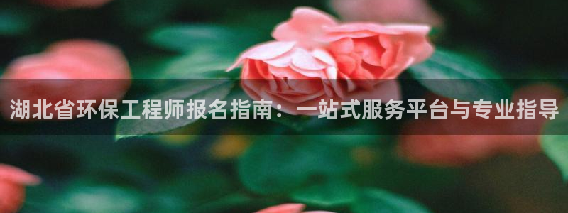 彩名堂.apk：湖北省环保工程师报名