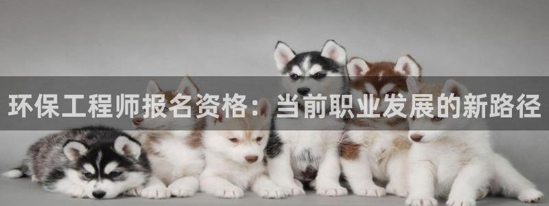老版本彩名堂计划软件：环保工程师报名