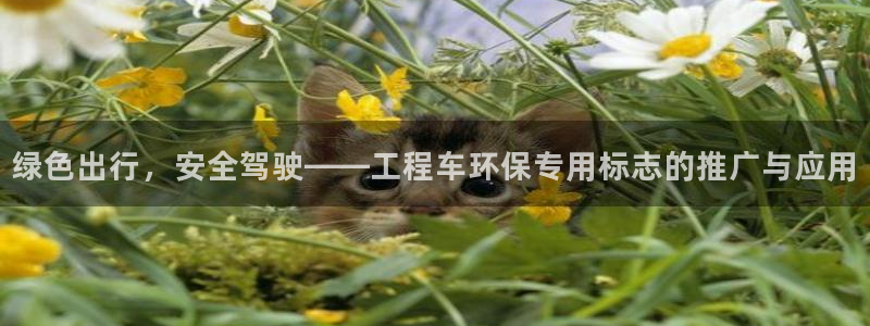 彩名堂使用方法：绿色出行，安全驾驶——工程车环保专用标志的推
