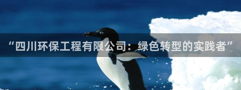 彩名堂官网客户端：“四川环保工程有限公司：绿色转型的实践者”