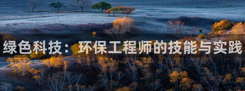 彩名堂和01计划哪个好：绿色科技：环保工程师的技能与实践