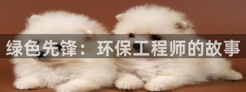 彩名堂为啥不准了乱变：绿色先锋：环保工程师的故事