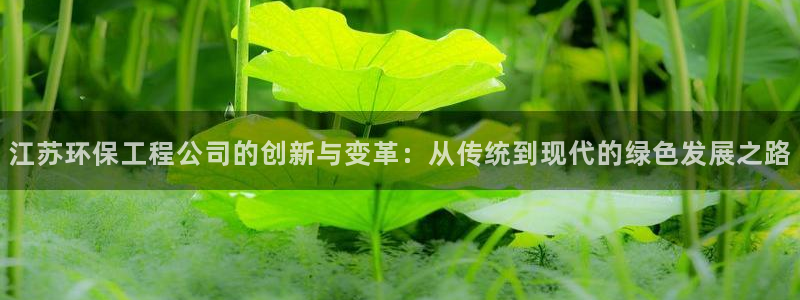 彩名堂v1.0.6：江苏环保工程公司的创新与变革：从传统到现