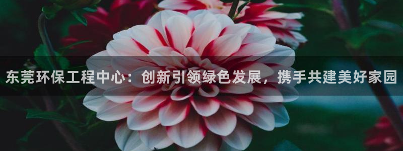 彩名堂官网2：东莞环保工程中心：创新